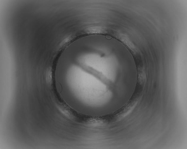 X0000113060207200909041044