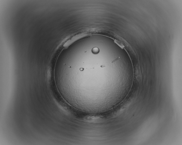 X0000113060208200909041044