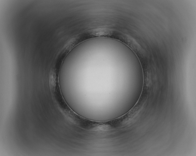 X0000113060210200909041044