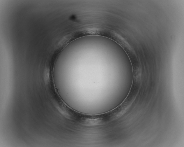 X0000113060213200909041044