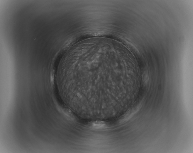 X0000113060214200909041044