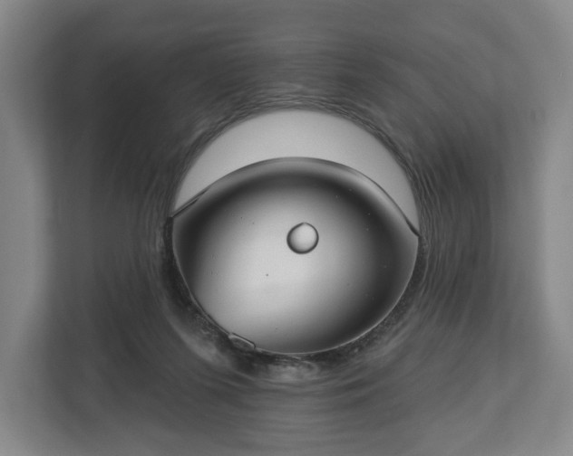 X0000113060215200909041044