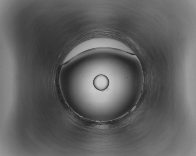 X0000113060217200909041044