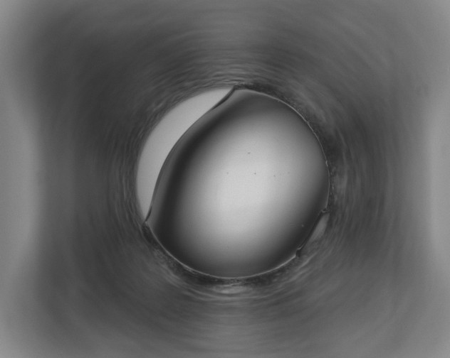 X0000113060219200909041044