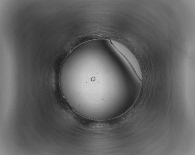 X0000113060223200909041044
