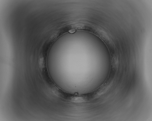 X0000113060224200909041044