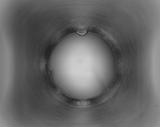 X0000113060225200909041044