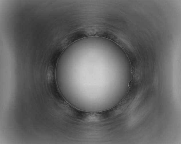 X0000113060226200909041044