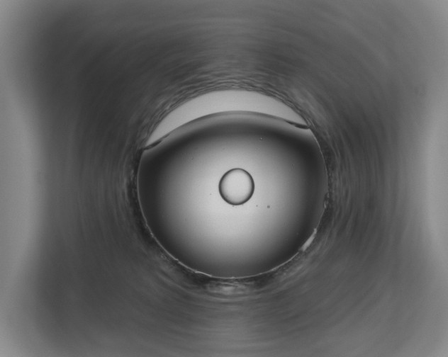 X0000113060229200909041044