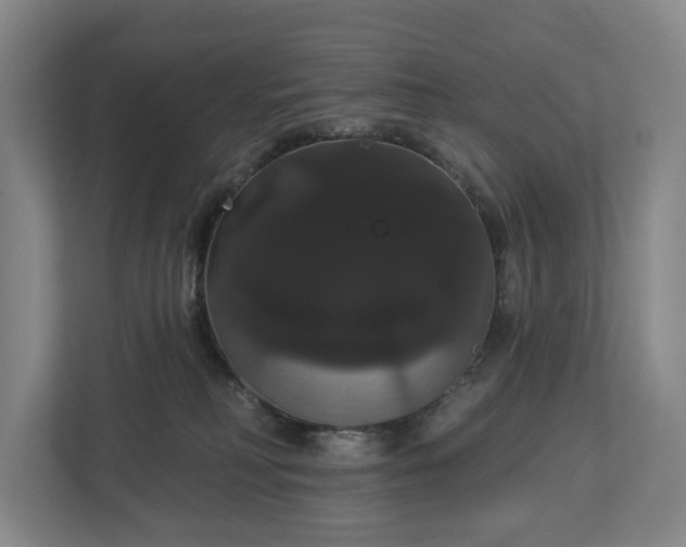 X0000113060230200909041044