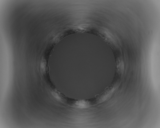 X0000113060231200909041044