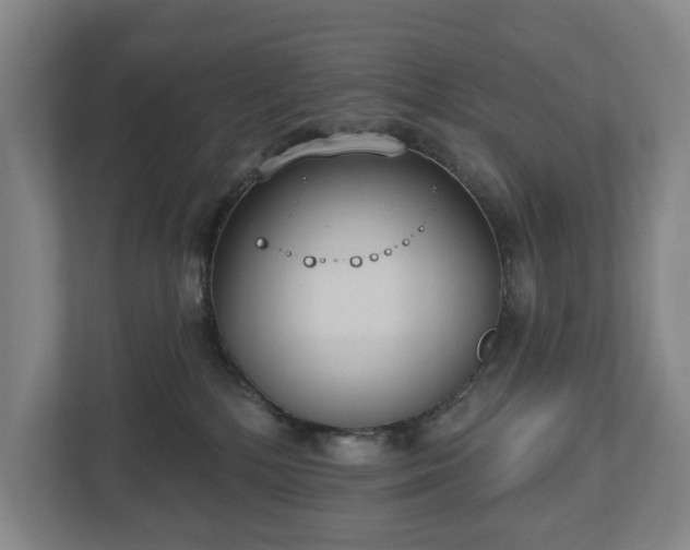 X0000113060232200909041044