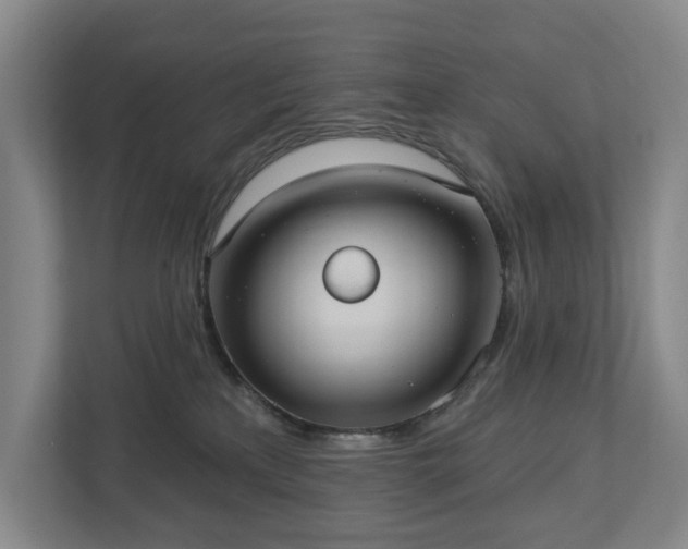 X0000113060233200909041044
