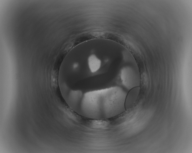 X0000113060234200909041044