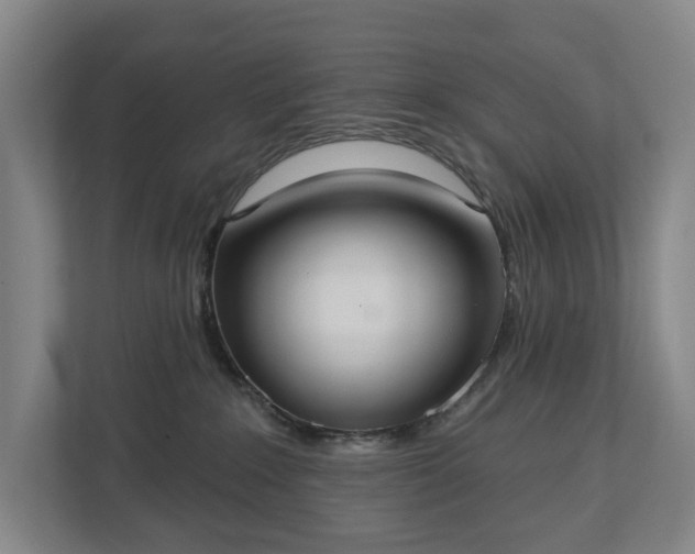 X0000113060235200909041044