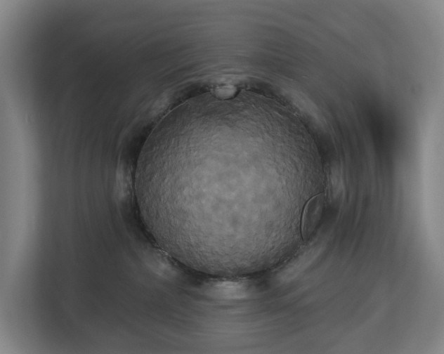 X0000113060236200909041044