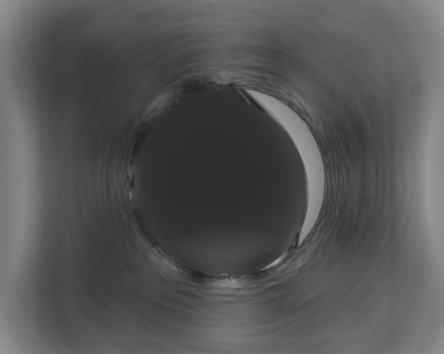 X0000113060237200909041044
