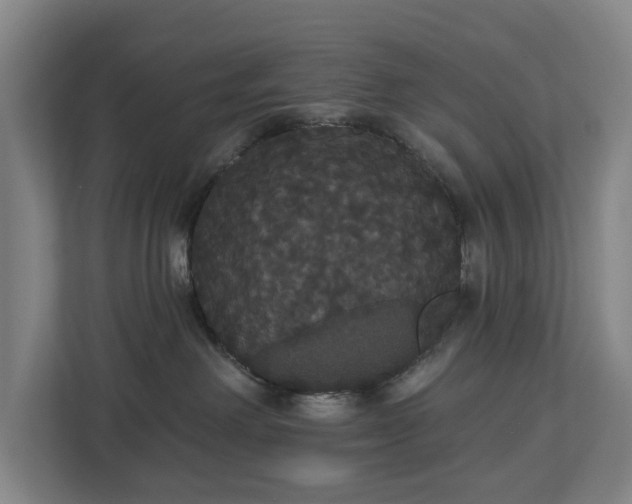 X0000113060238200909041044