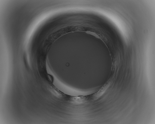 X0000113060239200909041044
