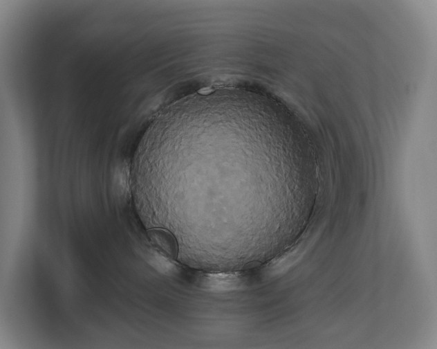 X0000113060240200909041044