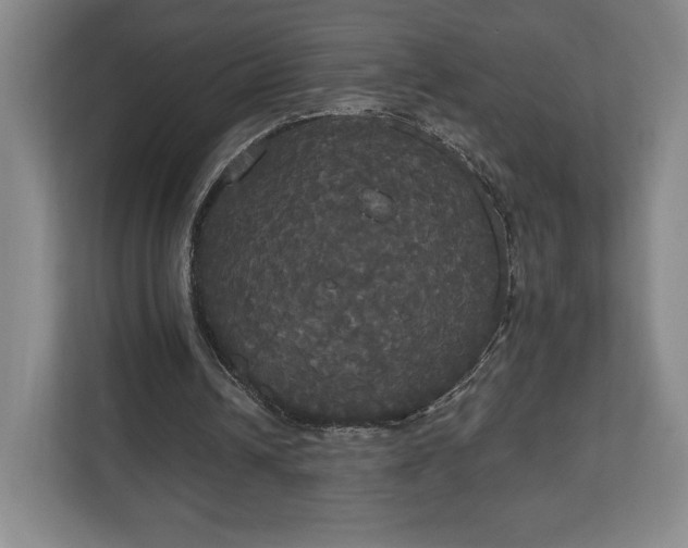 X0000113060242200909041043