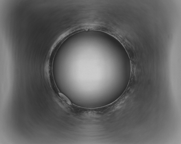 X0000113060244200909041043