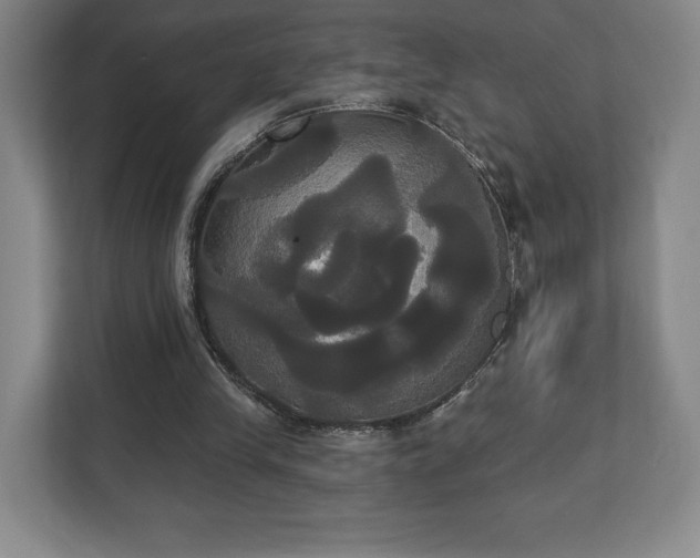 X0000113060245200909041043