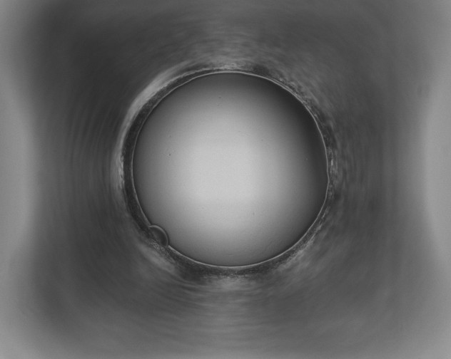X0000113060246200909041043