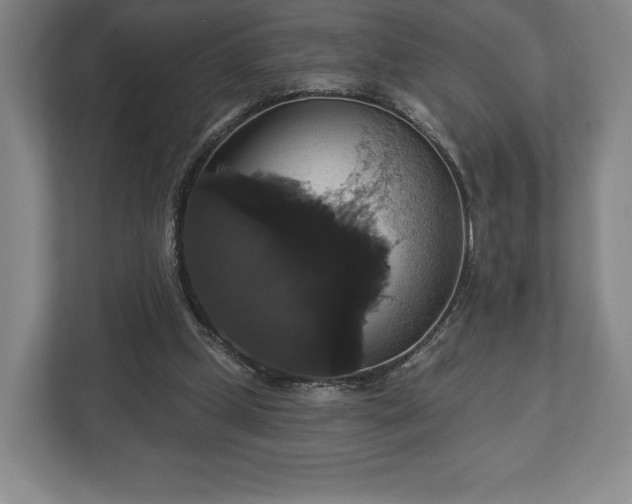 X0000113060249200909041043