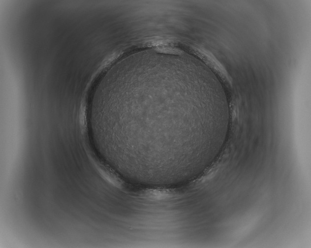 X0000113060250200909041043