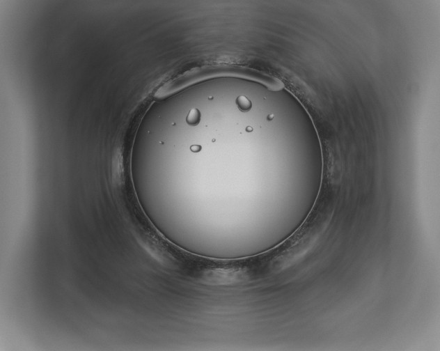X0000113060251200909041043