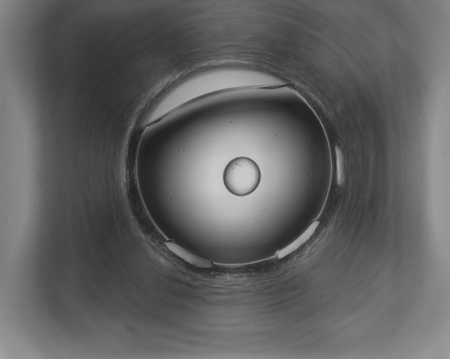 X0000113060252200909041043