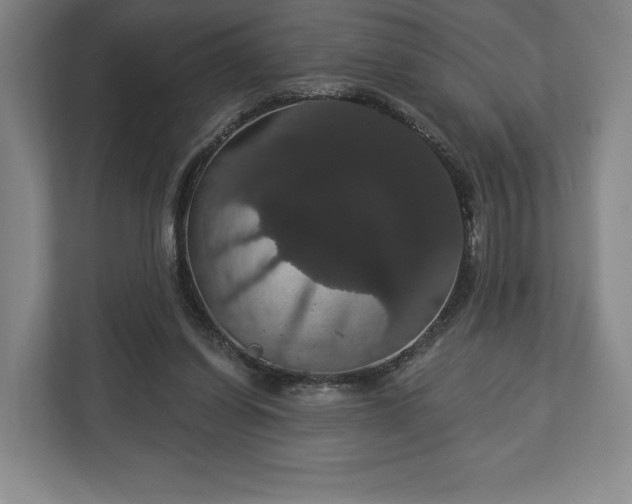 X0000113060254200909041043