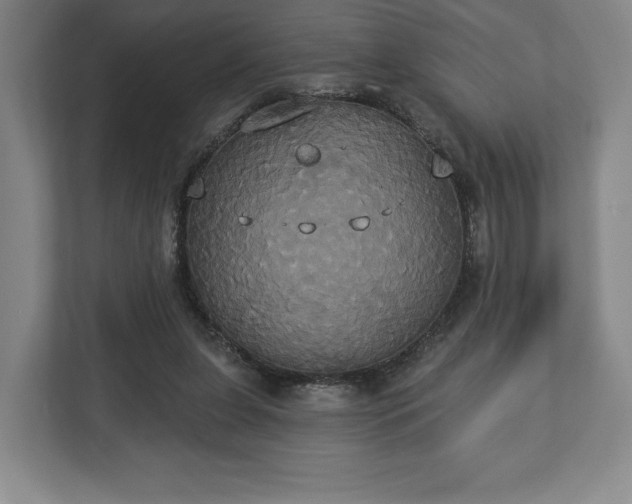 X0000113060255200909041043