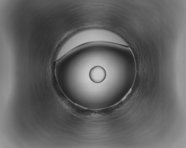 X0000113060256200909041043