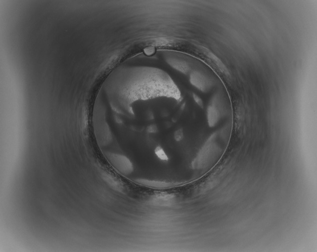 X0000113060257200909041043