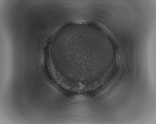 X0000113060259200909041043