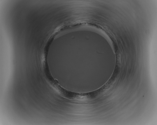 X0000113060260200909041043