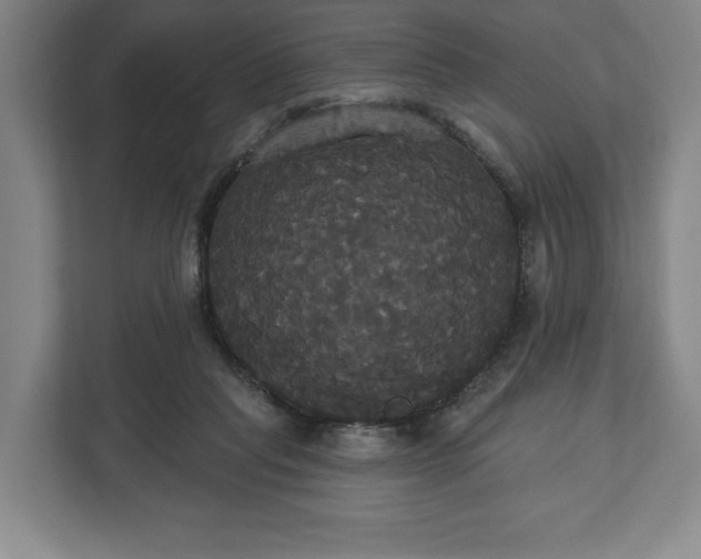 X0000113060261200909041044
