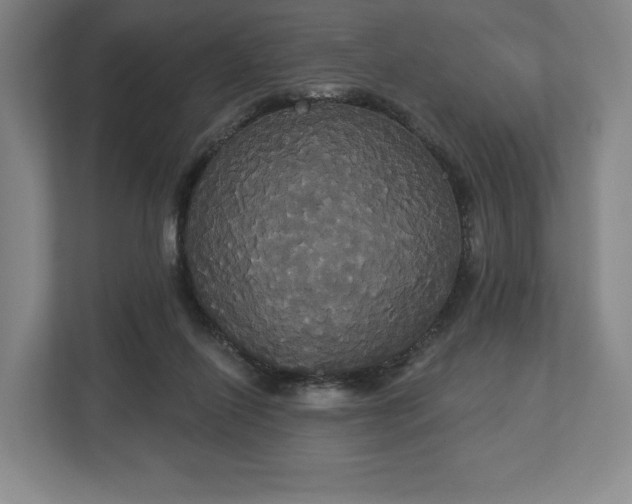 X0000113060262200909041044