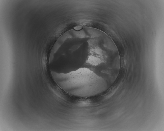 X0000113060263200909041044