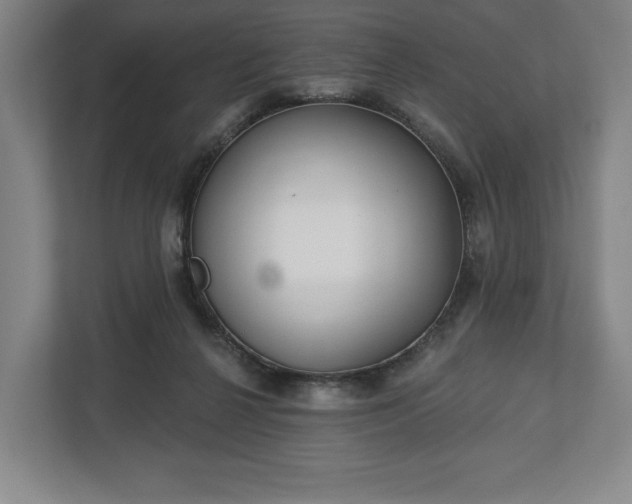 X0000113060264200909041044
