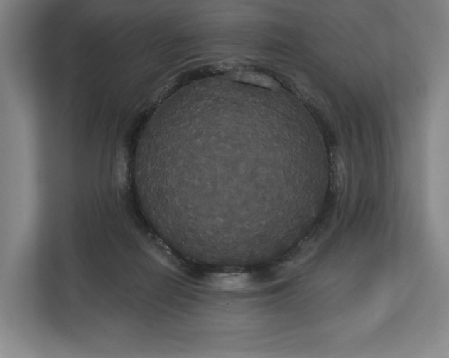 X0000113060266200909041044