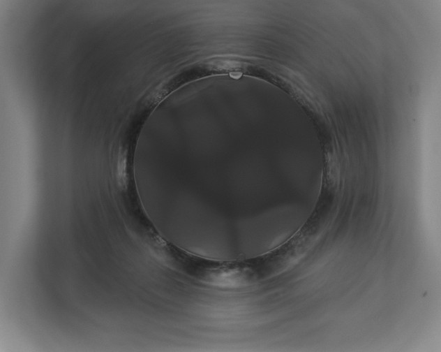 X0000113060267200909041044