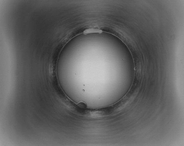 X0000113060268200909041044