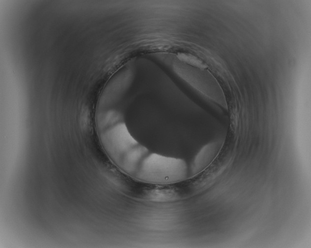 X0000113060270200909041044
