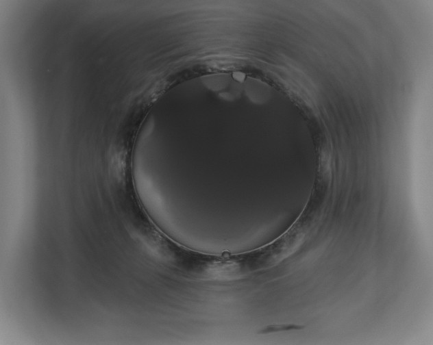 X0000113060271200909041044
