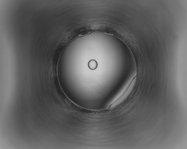 X0000113060272200909041044