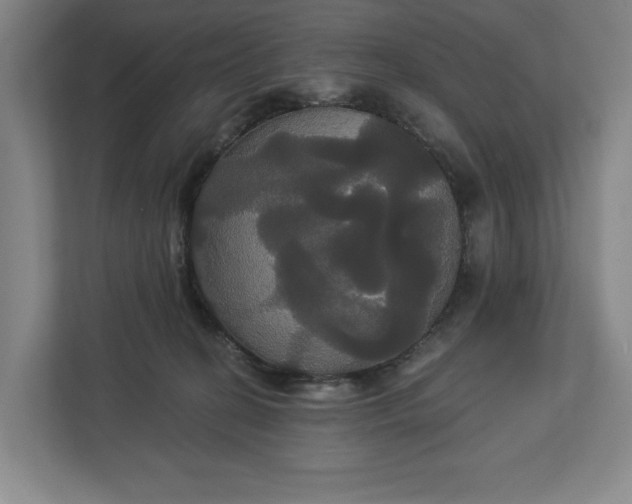 X0000113060274200909041044