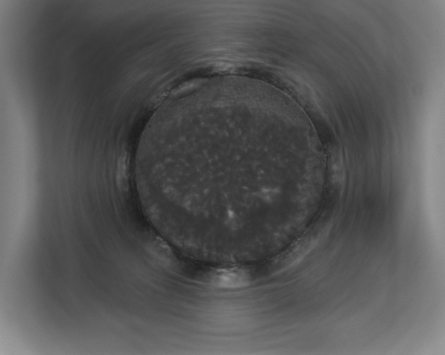 X0000113060275200909041044